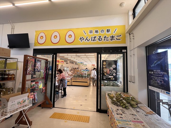 羽地の駅　やんばるたまご