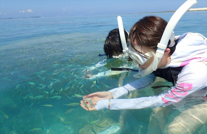 ナガンヌ島　北谷発