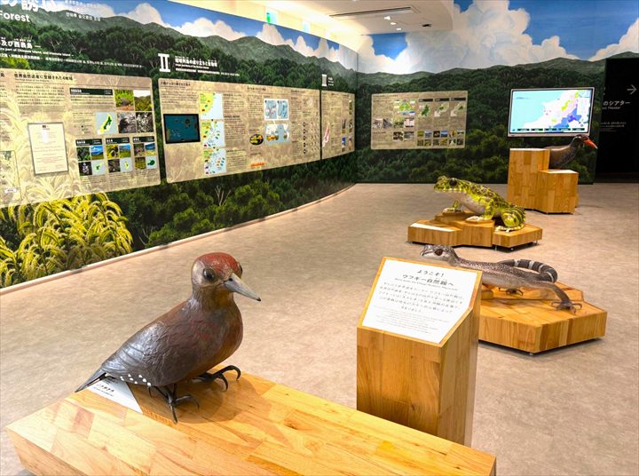 やんばる世界遺産センター ウフギー自然館