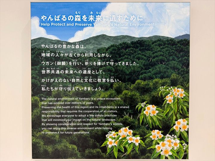 やんばる世界遺産センター　ウフギー自然館