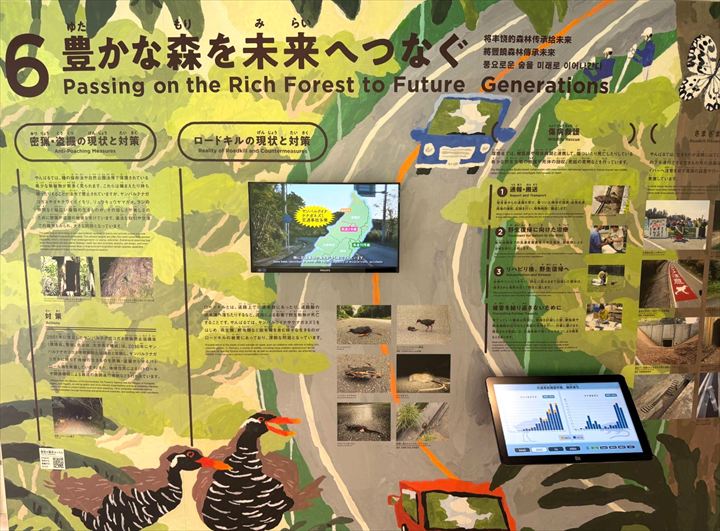 やんばる世界遺産センター ウフギー自然館