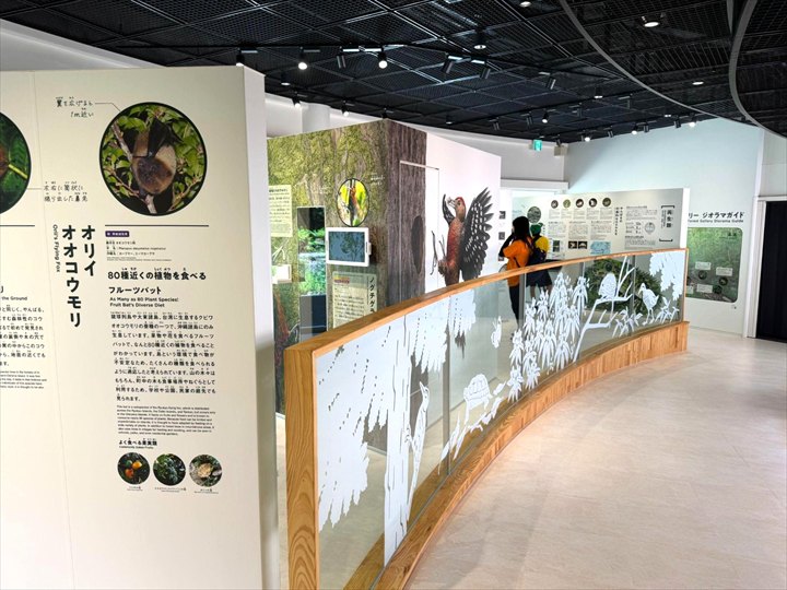 やんばる世界遺産センター ウフギー自然館