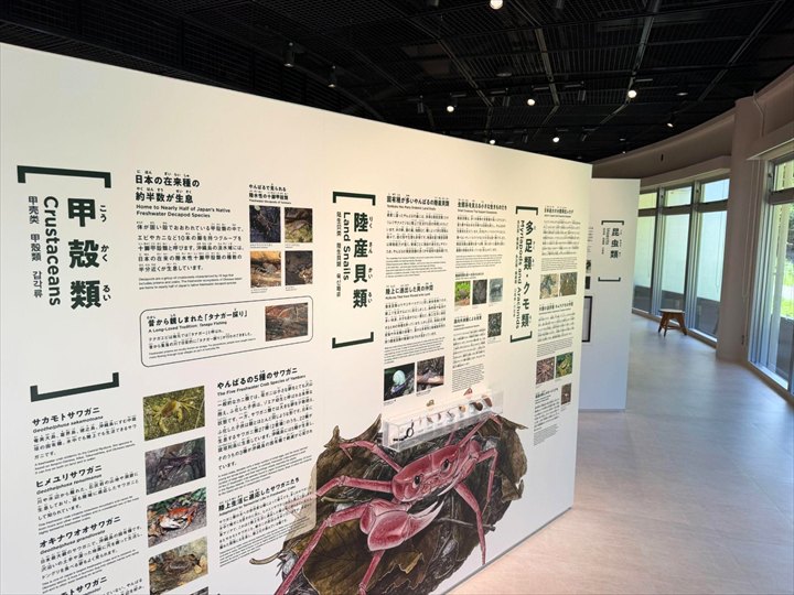 やんばる世界遺産センター ウフギー自然館
