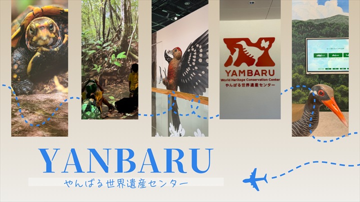 やんばる世界遺産センター ウフギー自然館